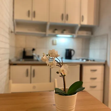 Center Underground *